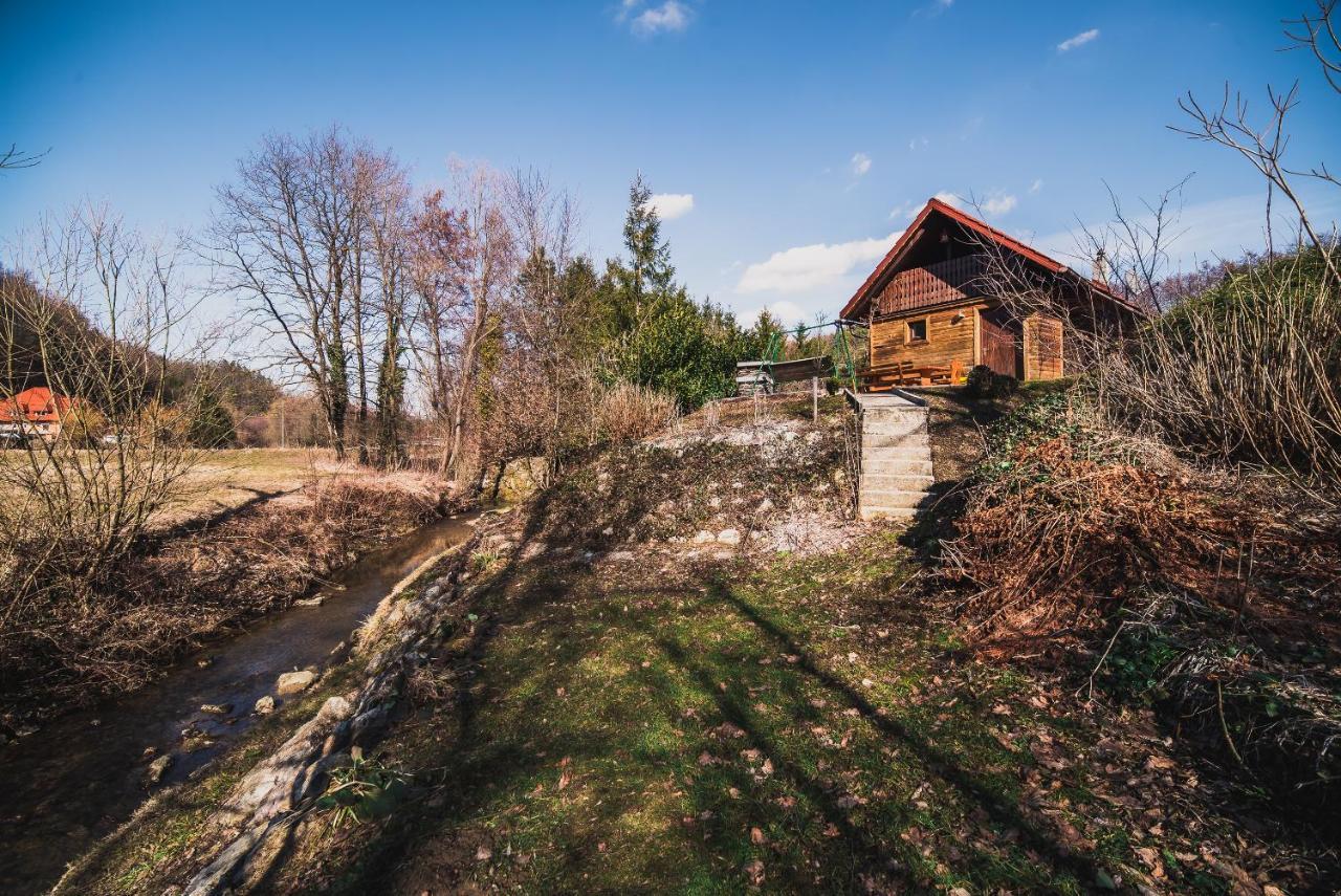 Wooden Cabin Zurej With Hot Tub Bukovje v Babni Gori Екстериор снимка